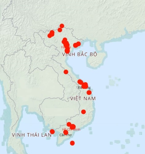 Công ty Cổ phần Thiết bị y tế SHB Hà Nội: Gửi tình cảm qua những chiếc khẩu trang đến các chiến sĩ tuyến đầu phòng dịch tỉnh Hải Dương